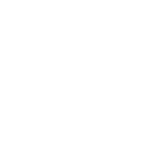 Icon_IT-Services_white