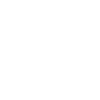 professional services icon