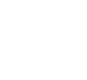 Icons_ScalableSecurity_white